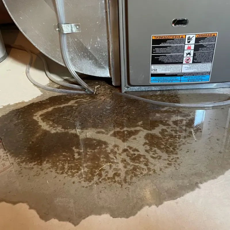 Pipe Burst and Leak Restoration in Loretto, PA