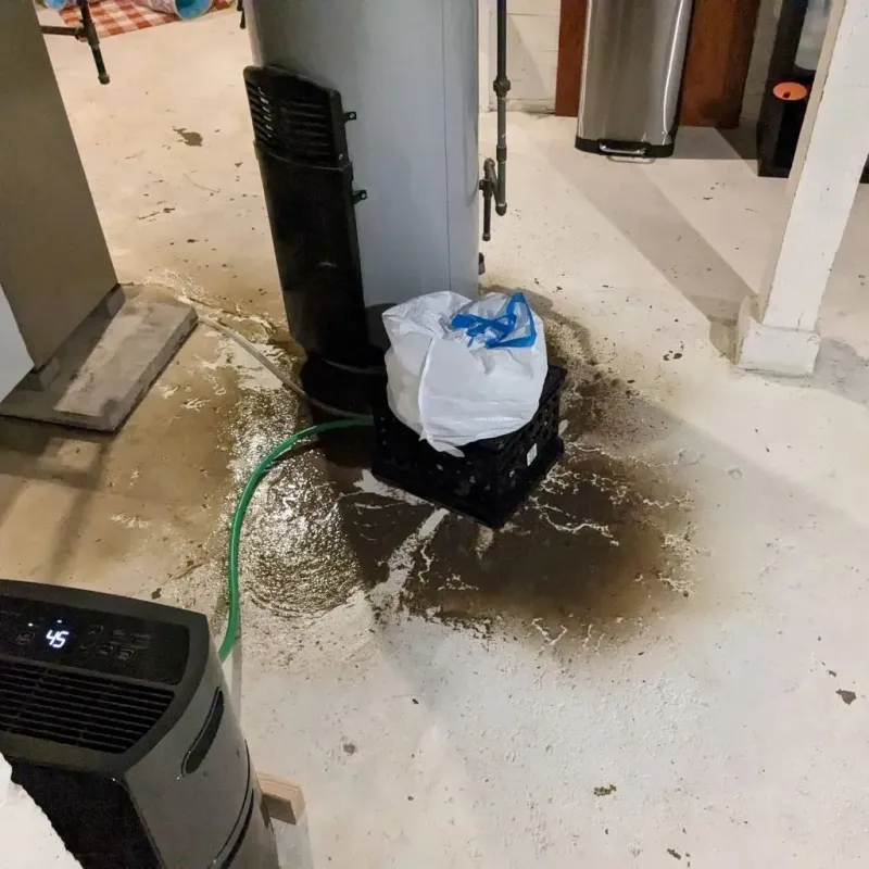 Sewage Backup Cleanup Service in Loretto, PA